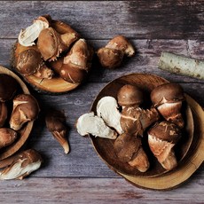 쫄깃하고 향깊은 참송이버섯 (정품)(산지직송), 1박스, 참송이버섯 1kg (정품)(산지직송)