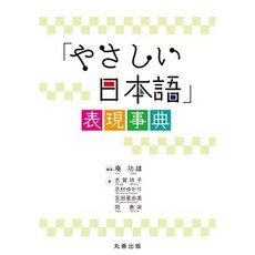 쉬운 일본어표현 사전, 단일옵션