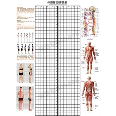신체측정및평가