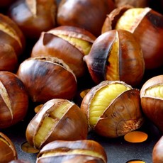 오프라이스알단밤