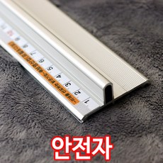 강철자