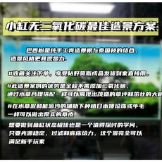 수조경 은신처 해골 유목레이아웃 유목 뿌리가지 가지 뿌리 소포 내추럴 현물MT11 꾸미기, 완제품점수초/높이15길이20정도, 1개