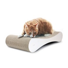 뽀떼 스크래쳐 T8, 상세 설명 참조, 1개