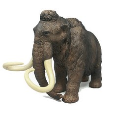 메머드
