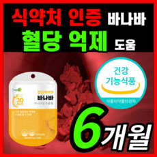 노플랜프로젝트