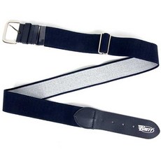 와일드브릭스벨트