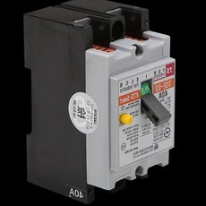 쌍문상회 누전차단기 산업용 TBE 52(TCE 52) 2P 40A 5KA, 본상품