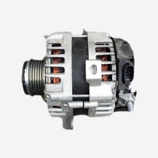 레이알터네이터