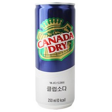 캐나다드라이 클럽소다 캔 250ml 2박스 60개