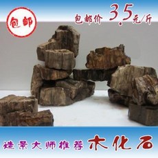 1e7c20bc0d0ca82b076a7db85e5f5fe2b5862a5bc500aefd9b95cbd3b889.jpeg