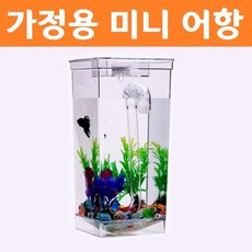 가정용 미니 자동 청소 어항 풀세트 노메이커 금붕어 열대어 구피 키우기 용품 다이소, 상세페이지 참조