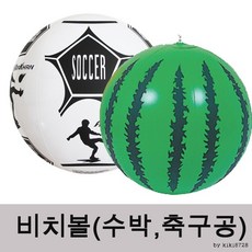 축구비치볼