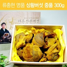 상황버섯재배기술누구나습득할수있다