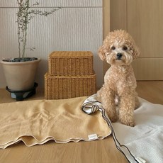 강아지이불 애견 펫 켄넬담요 거즈블랭킷, 샌드베이지, 1개