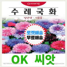 수레국화
 [OK씨앗] [수레국화] 수레국화꽃씨앗 종자(오케이씨앗) 200립