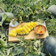블랙망고수박