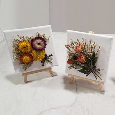 스타티스