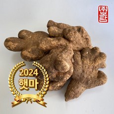 보람농장 산마 파지 5kg, 1박스