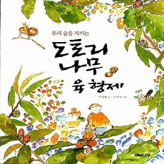 가시나무새책