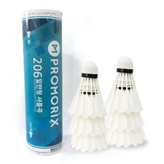 프로앤이글셔틀콕