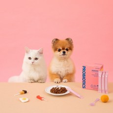 닥터맘마췌장