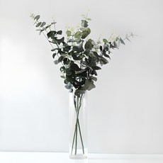 BLOOMING&ME Harmony Long Stam 桉樹, 混色, 1個
