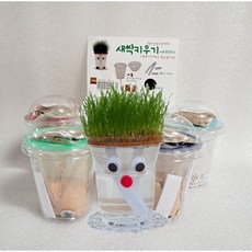 잔디인형 만들기 5개1세트 DIY 잔디 키우기, 1개