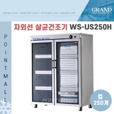 ws-us250열풍
