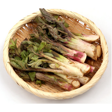 땅두릅, 200g