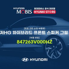 그랜저hg미들스피커