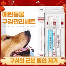 노마딕마켓 강아지치석제거기 강아지이빨용품, 1개, (캣키트)양치펜+스크레이퍼+치약칫솔세트, 상세페이지 참고