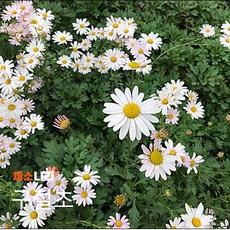 e55ba049ebb1c63e50abaf24c7486c39afe354f2b6949b5523d65b544715.jpg