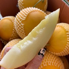 경북 성산 양구 메론 노란 매론 양구메론 고당도 최상품 산지직송 5키로 10키로, 양구메론/5kg/4~6수