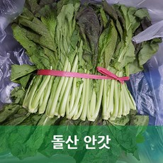 갓김치용 돌산 안갓 4kg내외 발품장터, 단일상품