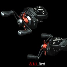 스노우플라스터