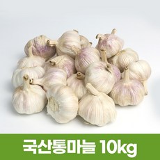 마늘10kg-추천-상품