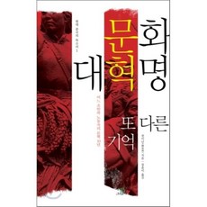 문화 대혁명 또 다른 기억 : 어느 조반파 노동자의 문혁 10년, 그린비, 천이난 저/장윤미 역