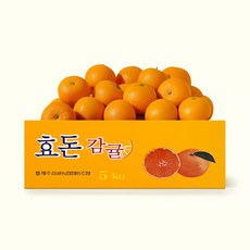 [특품] 프리미엄 제주 감귤 [로얄과] S-M, 1박스, 타이벡감귤 1kg