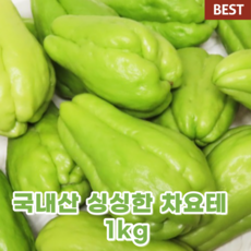 국산 국내산 차요테 1kg 싱싱한 신선한 꽃오이 열대 채소 수분 가득 국내재배 저칼로리 당뇨 다이어트 햇 무공해 차요태, 1개