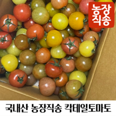 국내산 농장직송 칵테일토마토, 1개, 3kg