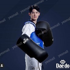 대도 팔미트 암미트 팔보호미트 DAEDO ARM Guard Mitt, 블랙