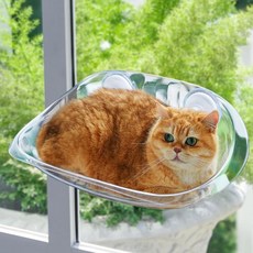 창문을 위한 고양이 농어 - 투명 고양이와 고양이를 창가 좌석 침대, 1개