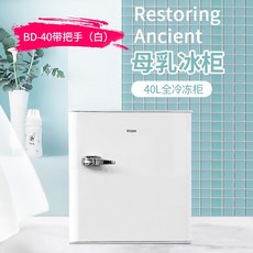 냉동고60l
