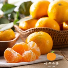 다우렁효돈농협하우스감귤