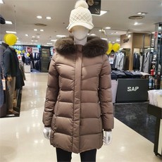 폭스퍼구스다운