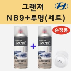 순정품 현대 그랜져 NB9 미드나이트블랙 스프레이 페인트 + 투명스프레이, 1개