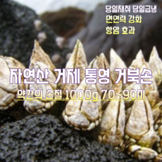 [산지직송] 국내산 자연산 거제 통영 제주 거북손 1000g 70~90미, 1박스