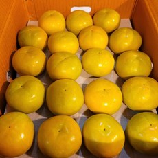 창원 단감 소과 2kg 11~15과 송본단감 감, 1개, 본상품선택