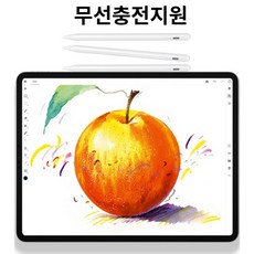짭플펜슬무선충전