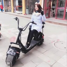 STOTER 레인저 2인승 할리전동스쿠터 60km 2000W, 대하레 정액 분배금